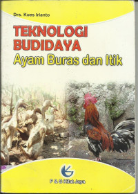 Image of Mari Beternak Ayam Arab
